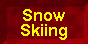 Snow Skiing